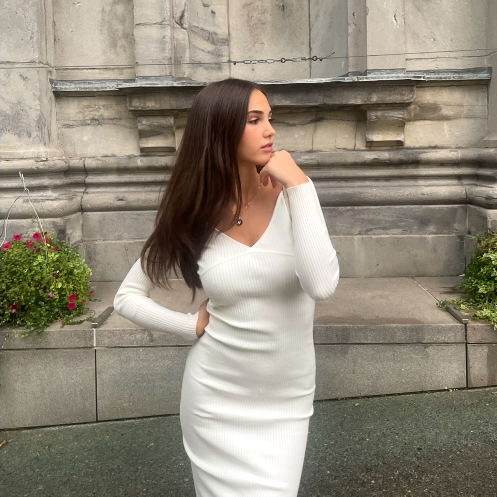 Aritzia Wilfred Gabrielle Dress